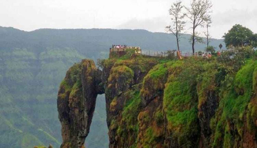 Cheapest Flight Tickets Tour Packages Cruise Visa Provider