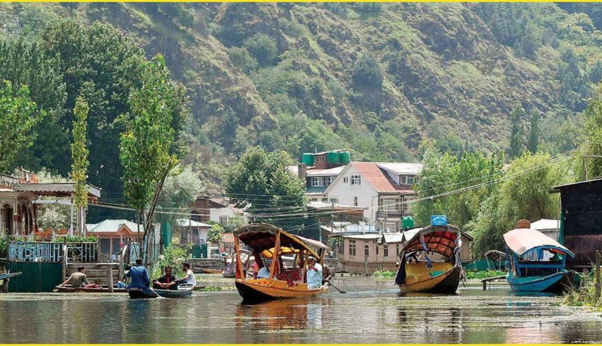 Cheapest Flight Tickets Tour Packages Cruise Visa Provider
