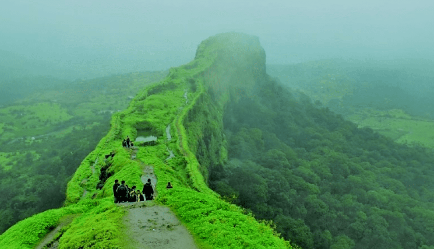 Cheapest Flight Tickets Tour Packages Cruise Visa Provider