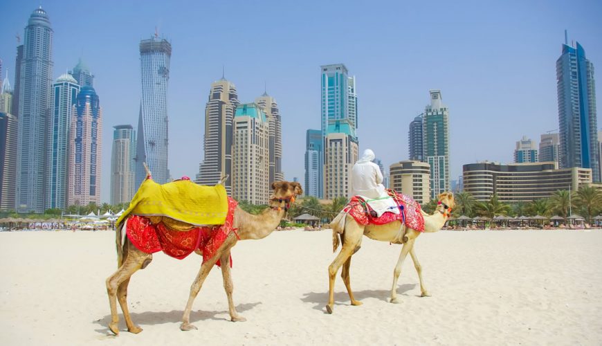 Desert Safari best offer by King Holidays B2B DMC Best Tour Operator in India