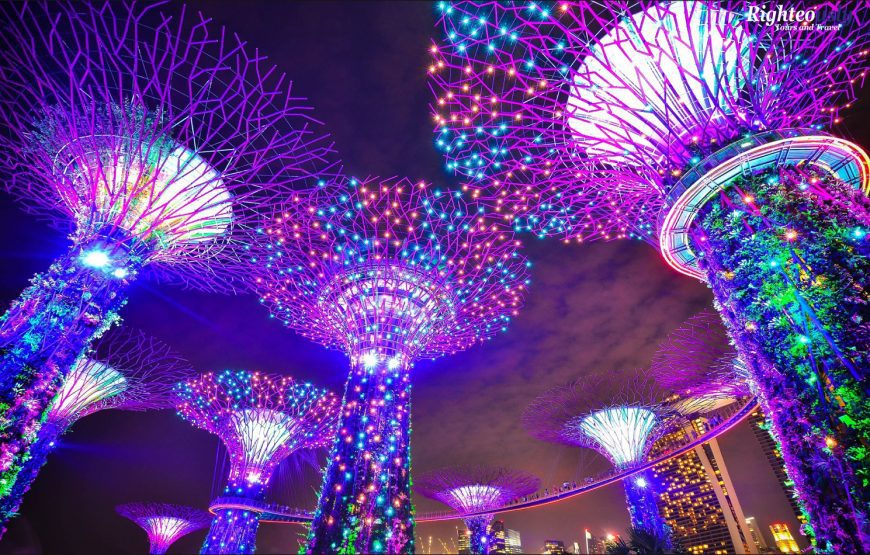 Garden By The Bay with Flower & Cloud Forest Dome Ticket with Transfers Upto 33% Off
