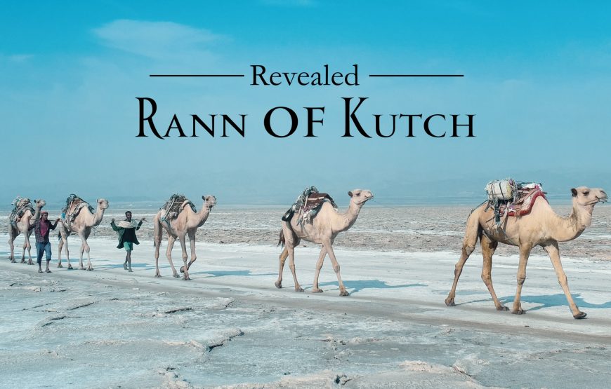01 Night Kutch Rann Utsav Deluxe AC Tent Package Up to 15% Discount