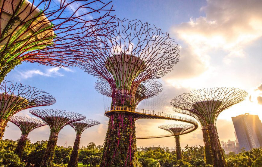 Garden By The Bay with Flower & Cloud Forest Dome Ticket with Transfers Upto 33% Off