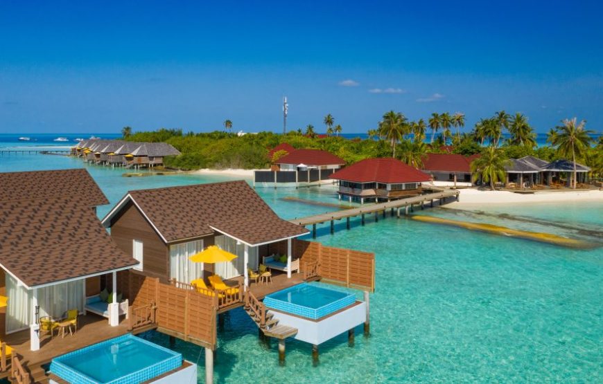 Dhigufaru Island Resort Maldives Honeymoon Tour Package Upto 33% Off