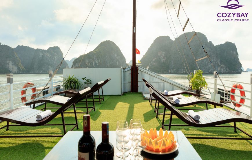 Hanoi, Ninh Binh, Halong Overnight Cruise, Ho Chi Minh Vietnam Tours Packages Upto 27% Off
