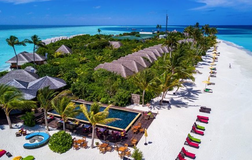 Dhigufaru Island Resort Maldives Honeymoon Tour Package Upto 37% Off